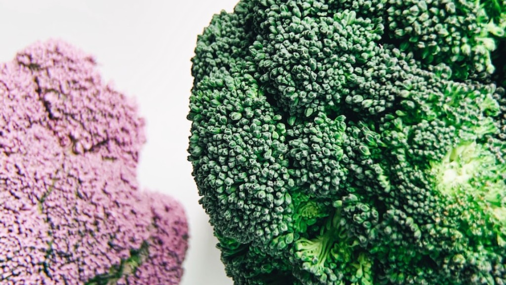 Czy legwany mogą jeść brokuły?