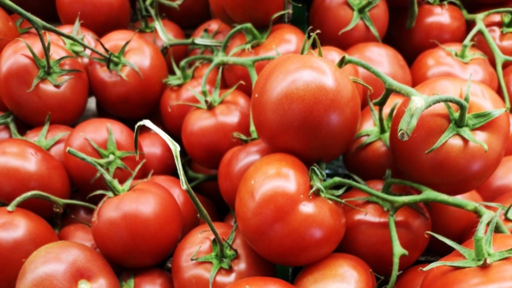 Jak długo gotuje się pomidory do konserw